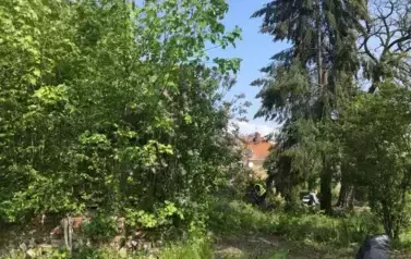 Tajemnicze prace przy Organist&oacute;wce 1