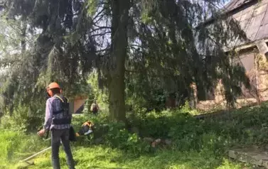 Tajemnicze prace przy Organist&oacute;wce 2