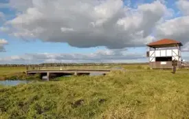 Screenshot_20251021_085316_Gallery