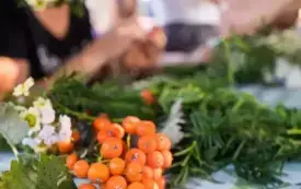 Galeria aktualności Piknik Dożynkowy Gminy Komorniki 5