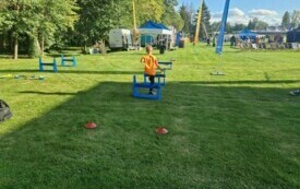 Galeria aktualności Udana zabawa na Dylane 2024 w Rosn&oacute;wku 85 2