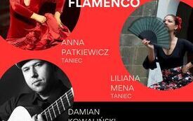 2026-04-20 Flamenco_DK Dworek (1)