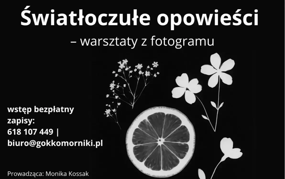 Zdjęcie do Światłoczułe opowieści &ndash; warsztaty z fotogramu 