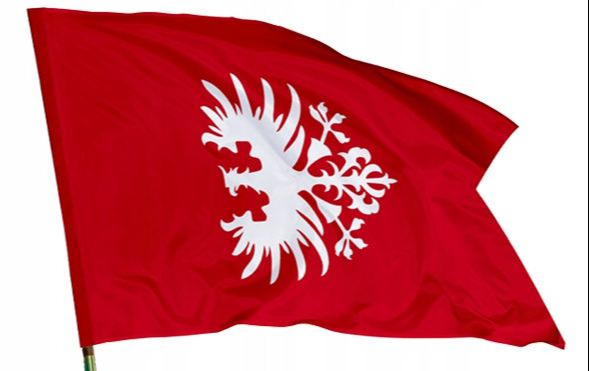 Zdjęcie do Obchody 107. rocznicy zwycięskiego Powstania Wielkopolskiego w gminie Komorniki