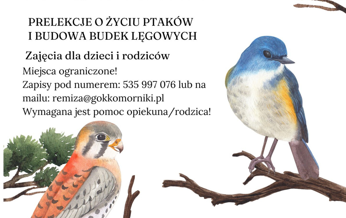 Zdjęcie do Warsztaty z budowania budek lęgowych dla ptak&oacute;w w Plewiskach