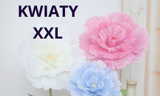 Zdjęcie do 31.07.2026 | Rosn&oacute;wko - Warsztaty Kwiaty XXL