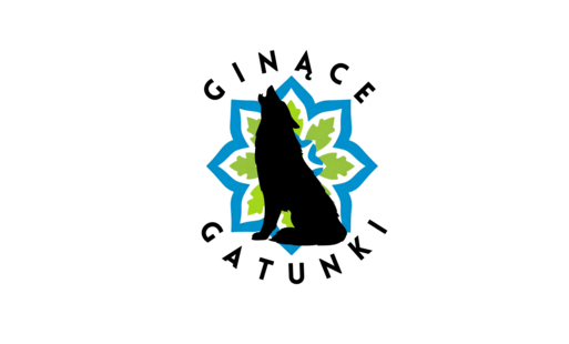 Zdjęcie do 6.09.2026 | Komorniki - Festiwal Ginące Gatunki (Dzień pierwszy)