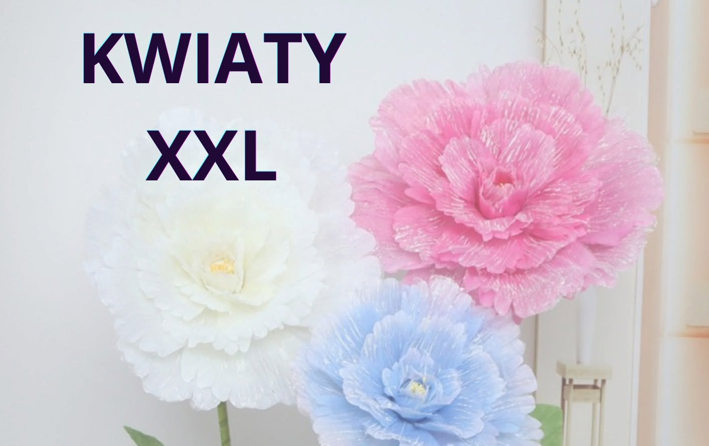 Zdjęcie do 31.07.2026 | Rosn&oacute;wko - Warsztaty Kwiaty XXL